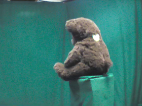 135 Degrees _ Picture 9 _ Brown Teddy Bear.png